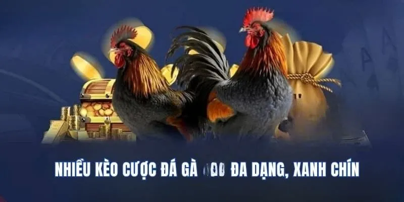 Các cửa cược với nhiều thể loại kèo mang lại đa dạng lựa chọn cho người chơi